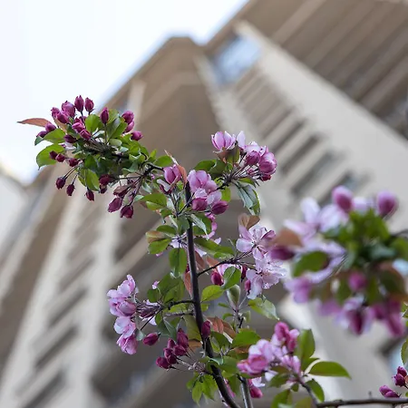 Rodos Arcadia * 敖德萨