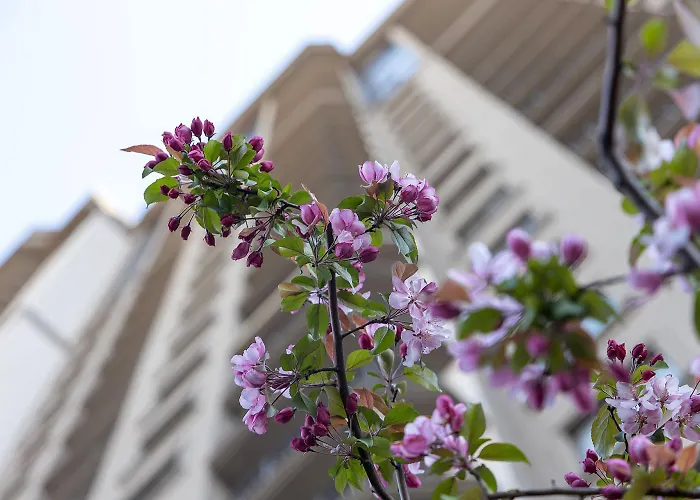 Rodos Arcadia * 敖德萨